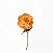 HASTE DE PEONIA LARANJA 63CM-132069 - Imagem 2