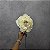 HASTE  DE PEONIA BRANCO 63CM-132068 - Imagem 1