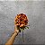 HASTE DE PEONIA LARANJA 56CM 131249 - Imagem 2