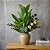 ARVORE FICUS ELASTICO   X33  FOLHAS 130CM - Imagem 1
