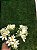 MINI BQ MINI LIRIO CREME 30CM  131994 - Imagem 2