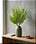 BUQUE SAMAMBAIA X5 VERDE CLARO 40CM -132122 - Imagem 1