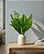 BUQUE DE FOLHAS CALATHEA VERDE 45CM 132134 - Imagem 1