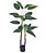 PL STRELITZIA X2 REAL TOQUE VERDE 125CM - Imagem 2