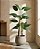 PL STRELITZIA X2 REAL TOQUE VERDE 125CM - Imagem 1