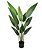 PLANTA VASO FOLHA STRELITZIA X12 REAL VERDE - Imagem 2