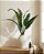 FOLHAGEM DE STRELITZIA X9 VERDE 70CM 132015 - Imagem 1