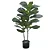 ARVORE FICUS LYRATA REAL TOQUE C/POTE X42 VERDE 1M - Imagem 2
