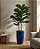ARVORE FICUS LYRATA REAL TOQUE C/POTE X42 VERDE 1M - Imagem 1