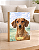 Quadro de mesa meu pet Dachshund caramelo (Salsicha) personalizado com nome 15x20cm - Imagem 1