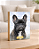 Quadro de mesa meu pet cachorro buldogue francês preto personalizado com nome 15x20cm - Imagem 1
