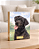 Quadro de mesa meu pet cachorro labrador preto 1 personalizado com nome 15x20cm - Imagem 1