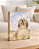 Quadro de mesa meu pet cachorro lhasa apso personalizado com nome 15x20cm - Imagem 1