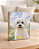 Quadro de mesa meu pet cachorro maltês personalizado com nome 15x20cm - Imagem 1