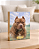 Quadro de mesa meu pet cachorro pitbull marrom personalizado com nome 15x20cm - Imagem 1