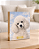 Quadro de mesa meu pet cachorro poodle branco personalizado com nome 15x20cm - Imagem 1