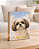 Quadro de mesa meu pet cachorro shih tzu 2 personalizado com nome 15x20cm - Imagem 1