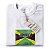 Jamaica - Imagem 6