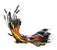 KIT JUMPER MACHO MACHO X65 SORTIDOS - Imagem 2