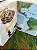 Past Worlds: The Times of Atlas Archaelogy - Imagem 2