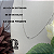 Colar Letra N Liso Ouro Branco - Imagem 4