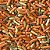 Ração Tropical Para Carpas Pond Sticks Mixed 4kg 50L - Imagem 4
