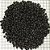 SUBSTRATO SOMA MICROSFERA PLANT GRAVEL PREMIUM SOIL BLACK (2-4mm) -5KG - Imagem 3