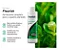 Seachem Flourish 250ml Fertilizante Para Aquários Plantados - Imagem 4