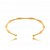 Bracelete Bambu Folheado a Ouro 18K - Imagem 1