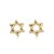 Brinco Estrela De Davi Liso Folheado a Ouro 18K - Imagem 1