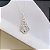 Colar Nossa Senhora Manto Liso Folheado a Prata 925 - Imagem 1