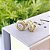 Brinco Redondo Com Zirconia Cristal Central e Borda Cravejada Folheado a ouro 18K - Imagem 1