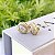 Brinco Redondo Com Zirconia Cristal Central e Borda Cravejada Folheado a ouro 18K - Imagem 1