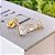 Brinco de Gota Cristal com Pendente Cravejado Folheado a ouro 18K - Imagem 1