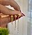 Triozinho de Bolinhas + Apliques 3 fios com bolas Folheado a ouro 18K - Imagem 2