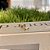 Piercing Navete Cristal Folheado a ouro 18K - Imagem 1