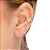 BR PIERCING ARG FOLHAS - Imagem 1