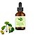 TINTURA DE GINKGO BILOBA - 100ml - Memória - Circulação - Imagem 1