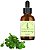 TINTURA DE POEJO - 100ml - Tosse - Purificante - Imagem 1