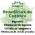 TINTURA DE COENTRO - 100ml - Antigases natural - Digestivo - Imagem 2