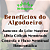 TINTURA DE ALGODOEIRO - 100ml - AUMENTO DO LEITE MATERNO - Imagem 2