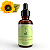 TINTURA DE ARNICA - 100ml - Antinflamatório Natural - Imagem 1