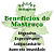 TINTURA DE MASTRUÇO/MASTRUZ - 100ml - Imagem 2