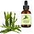 TINTURA VEGETAL DE CARQUEJA - 100ML - Imagem 1