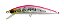 Isca Ragot Rocket Cast 118 / 11,8Cm - 40g - Imagem 4
