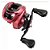 Carretilha Daiwa CG80 HS 10ROL - Direita - Imagem 3