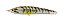 Isca Yara Hunter Bait 75 / 7,5cm 6g - Imagem 8