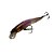 Isca Jackall Lill Bill Wild 75F / 7,5Cm 5,5g - Imagem 1