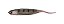 Isca Maruri Soft W189 / 10cm - Jig 18g - 6un - Imagem 4