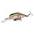 Isca Albatroz Willy Shad F40 / 4cm 2,5g - Imagem 2